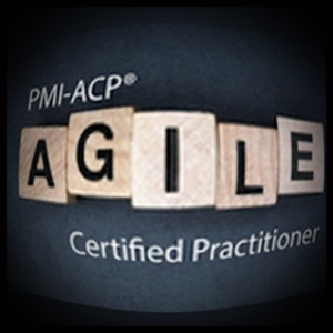 PMI’s Agile Certified Practitioner (PMI-ACP)