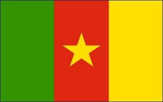Scholarships for Cameroonian Students