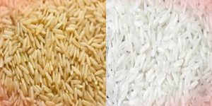 Difference between Brown Rice and White Rice