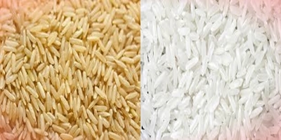 Difference between Brown Rice and White Rice